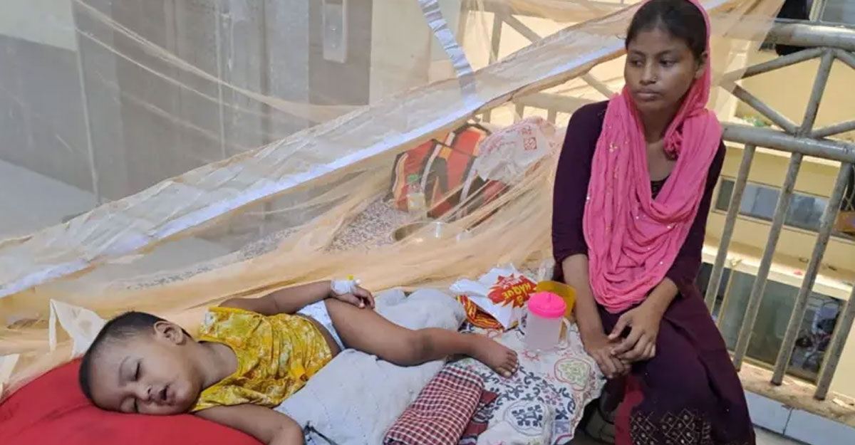 ডেঙ্গুতে বাড়ছে মৃত্যু, সরকারের পদক্ষেপ কী?