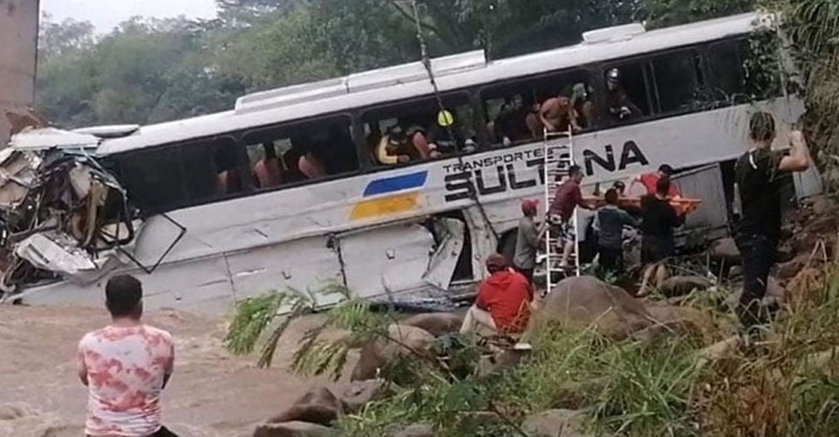 বাস-ট্রাকের সংঘর্ষে বিশ্ববিদ্যালয়ের ১২ শিক্ষার্থী নিহত