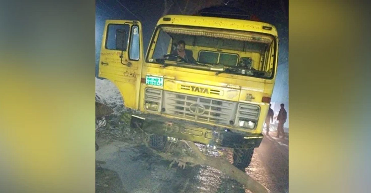 সড়কে গাছ ফেলে ৪০ যানবাহনে ডাকাতি