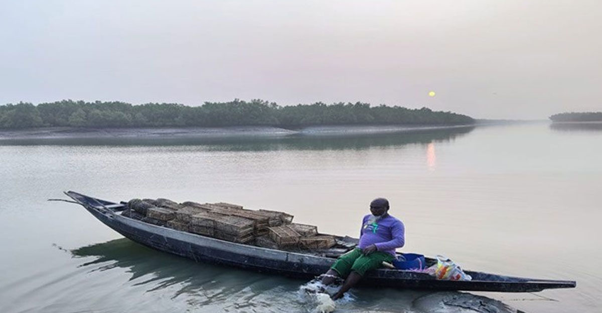 সুন্দরবনে কাঁকড়া ধরায় ২ মাসের নিষেধাজ্ঞা শুরু
