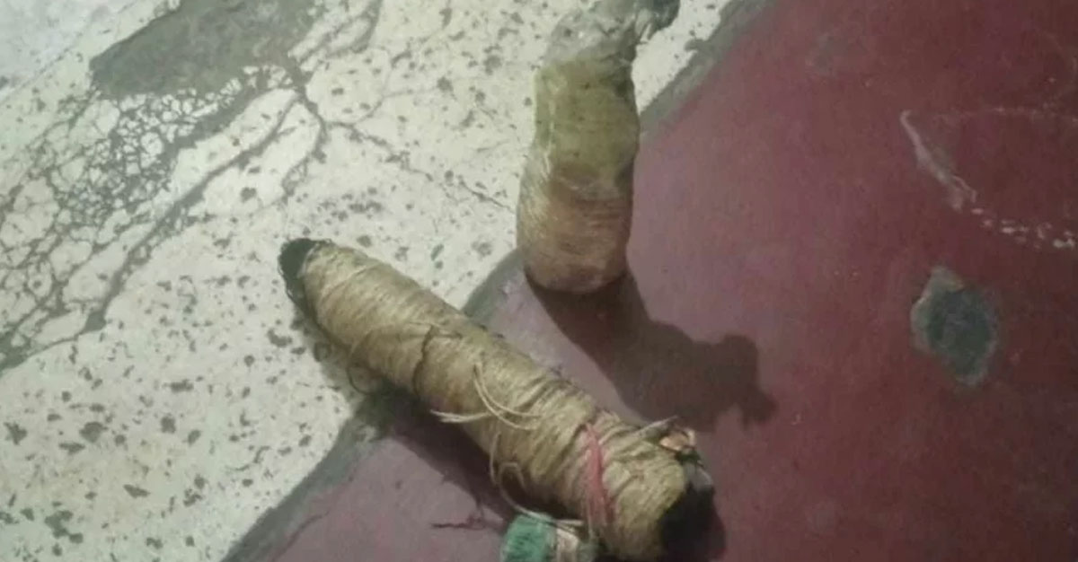 ফরিদা আখতার-ফরহাদ মজহারের প্রতিষ্ঠানে পেট্রোল বোমা নিক্ষেপ