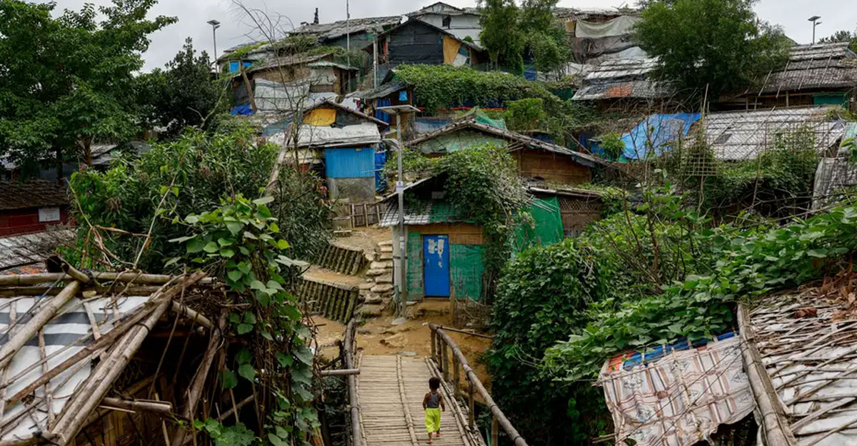 বাংলাদেশে প্রশিক্ষণ নিয়ে যুদ্ধে যায় রোহিঙ্গারা