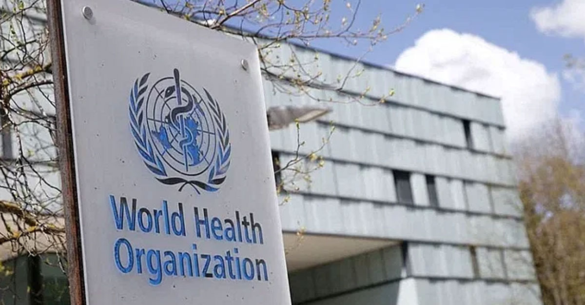 কলেরার প্রাদুর্ভাব, বৈশ্বিক কর্মসূচি ঘোষণা বিশ্ব স্বাস্থ্য সংস্থার