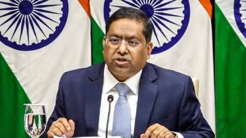 দিল্লিতে শেখ হাসিনার বক্তব্য নিয়ে যা বলছে ভারত