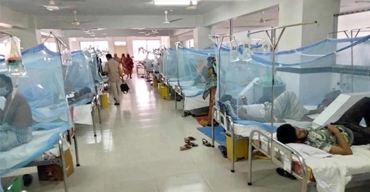 ডেঙ্গু কাড়লো আরও ৪ প্রাণ