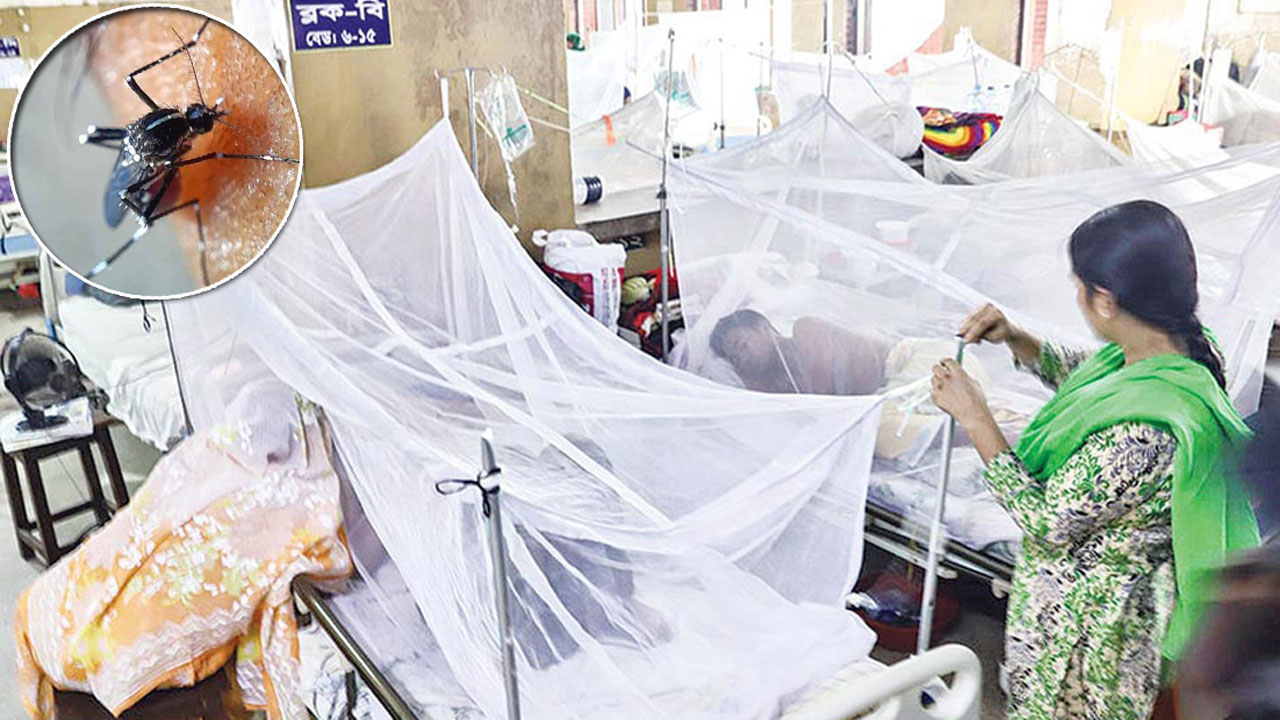 ডেঙ্গুতে মৃত্যু ১৭০০ ছুঁই ছুঁই
