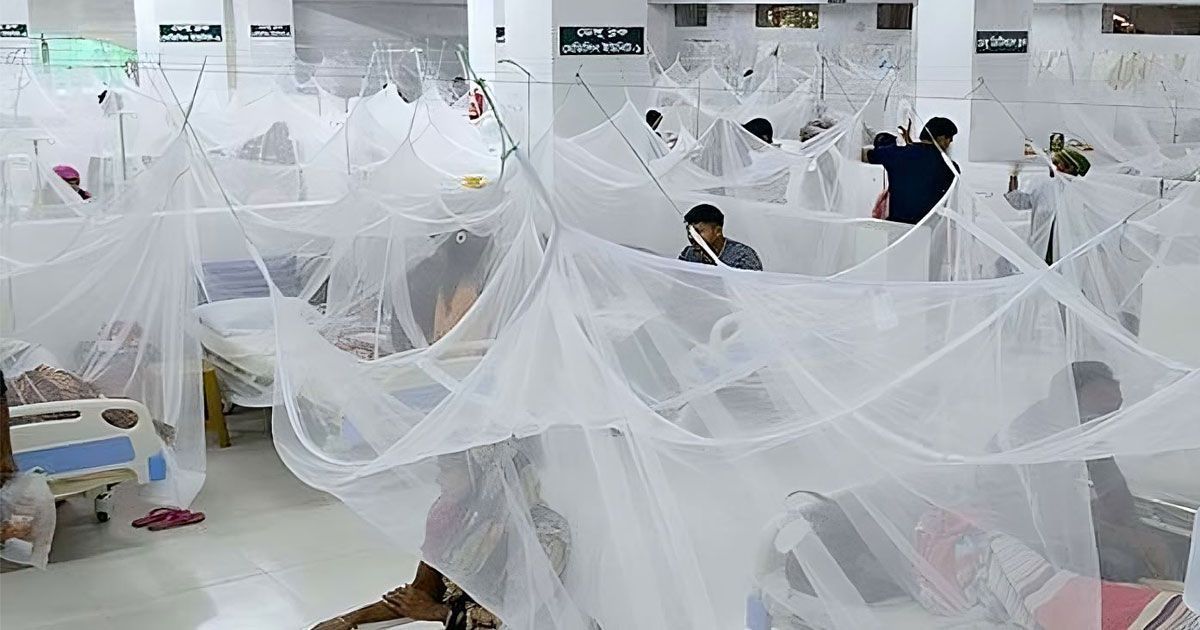 ডেঙ্গুতে আরও ১ জনের মৃত্যু, হাসপাতালে ভর্তি ৮৯