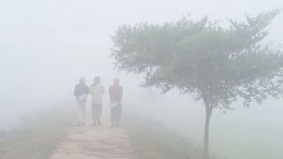 চার জেলায় বইছে মৃদু শৈত্যপ্রবাহ