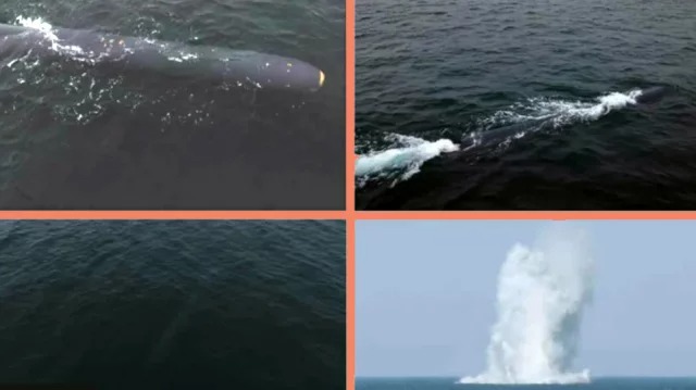 পানির নিচে পারমাণবিক অস্ত্রের পরীক্ষা উত্তর কোরিয়ার