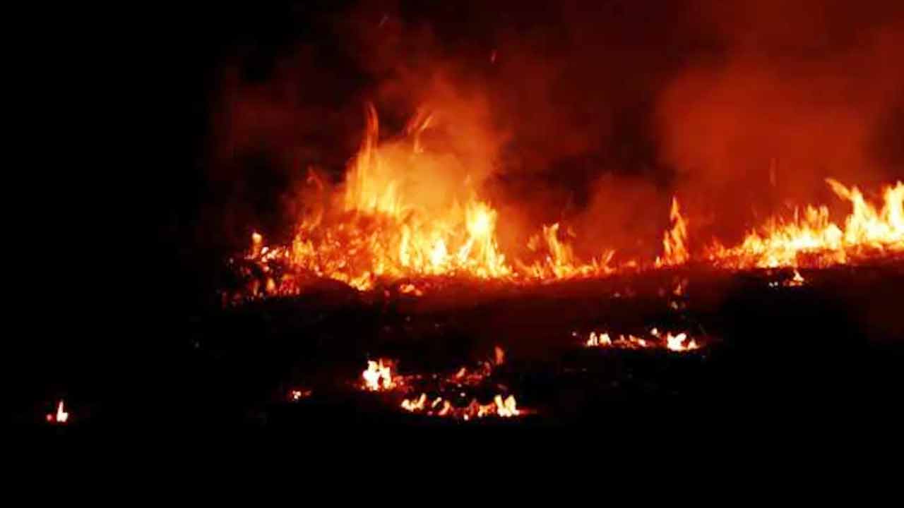 চীনে স্কুলে আগুন, ১৩ জনের মৃত্যু