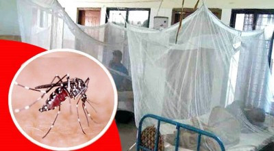 ডেঙ্গু নিয়ে হাসপাতালে ভর্তি আরও ২৫