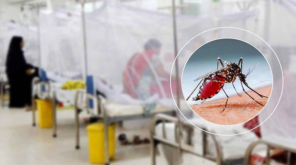 ডেঙ্গু নিয়ে আরও ৮ জন হাসপাতালে