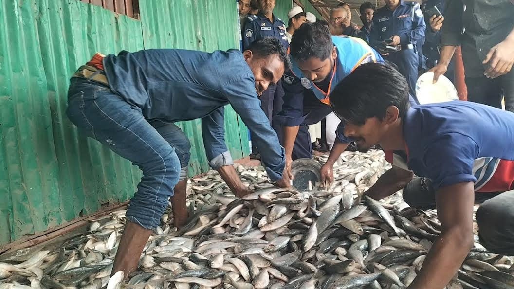 চাঁদপুরে ১১২ মণ জাটকা জব্দ, আটক ৪০