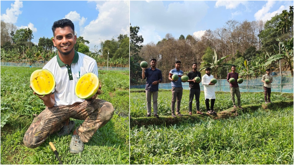 শখের বসে হলুদ তরমুজ চাষ, সফল মৌলভীবাজারের খোর্শেদ