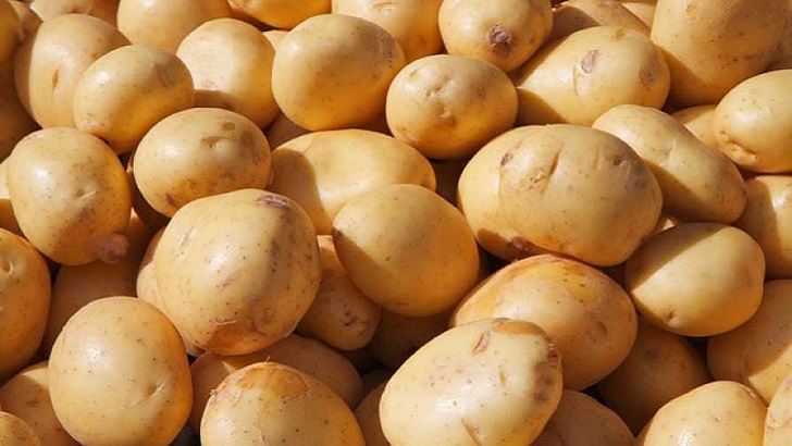 আলুর সর্বনিম্ন দাম বেঁধে দিল সরকার