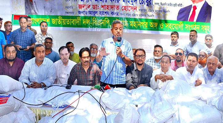 গণতন্ত্র না ফেরা পর্যন্ত আন্দোলন চলবে : আমীর খসরু