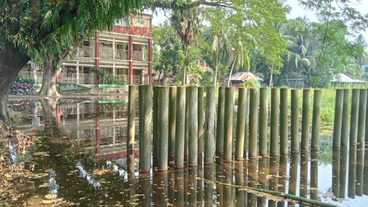 স্কুল মাঠে মাছ চাষ!
