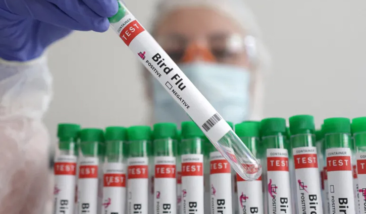 মেক্সিকোতে বার্ড ফ্লুর নতুন ধরনে আক্রান্ত ১ ব্যক্তির মৃত্যু