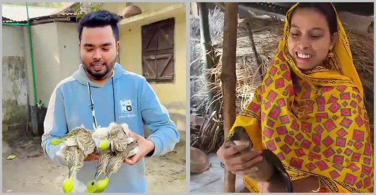 জামাইদের আপ্যায়নে বক-বুনোহাঁস খাওয়ার ভিডিও ভাইরাল