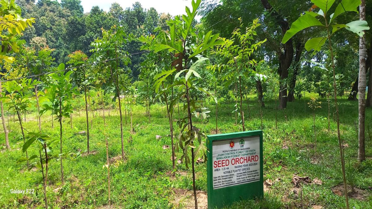 পার্বত্য চট্টগ্রামে বিলুপ্তপ্রায় গাছ সংরক্ষণে যুগান্তকারী উদ্যোগ