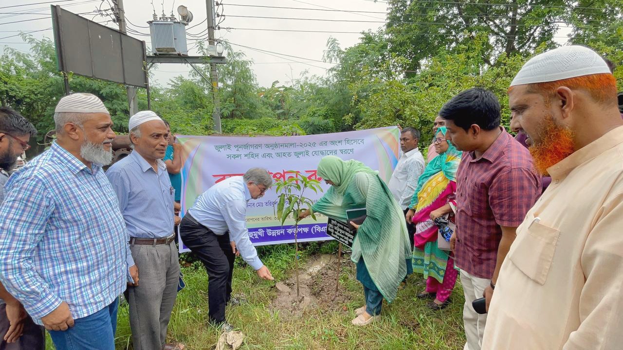 জুলাই যোদ্ধাদের স্মরণে বিএমডিএর বৃক্ষরোপণ কর্মসূচি