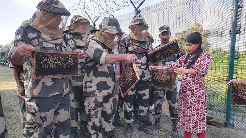 বাংলাদেশি অনুপ্রবেশ ঠেকাতে সীমান্তে মৌমাছি ‘মোতায়েন’ ভারতের