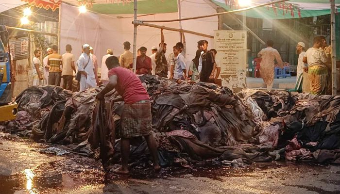 আরও কমে বিক্রি হচ্ছে কোরবানির পশুর চামড়া