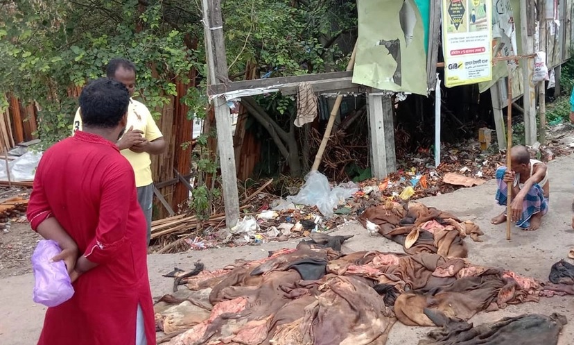 লাখ টাকার গরুর চামড়া ৬০০ টাকা