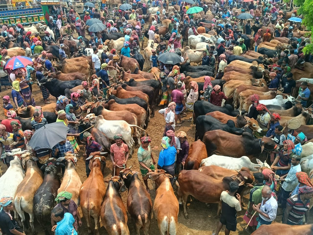 আর্থিক সংকটে বেচা-কেনা হয়নি চুয়াডাঙ্গা জেলার পশুহাট গুলোতে