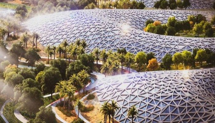 ১০ কোটি গাছ লাগানোর পরিকল্পনা করছে দুবাই