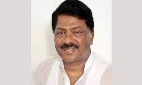 একমাত্র বিএনপিই পারবে সংখ্যালঘুদের সুরক্ষা দিতে: দুলু