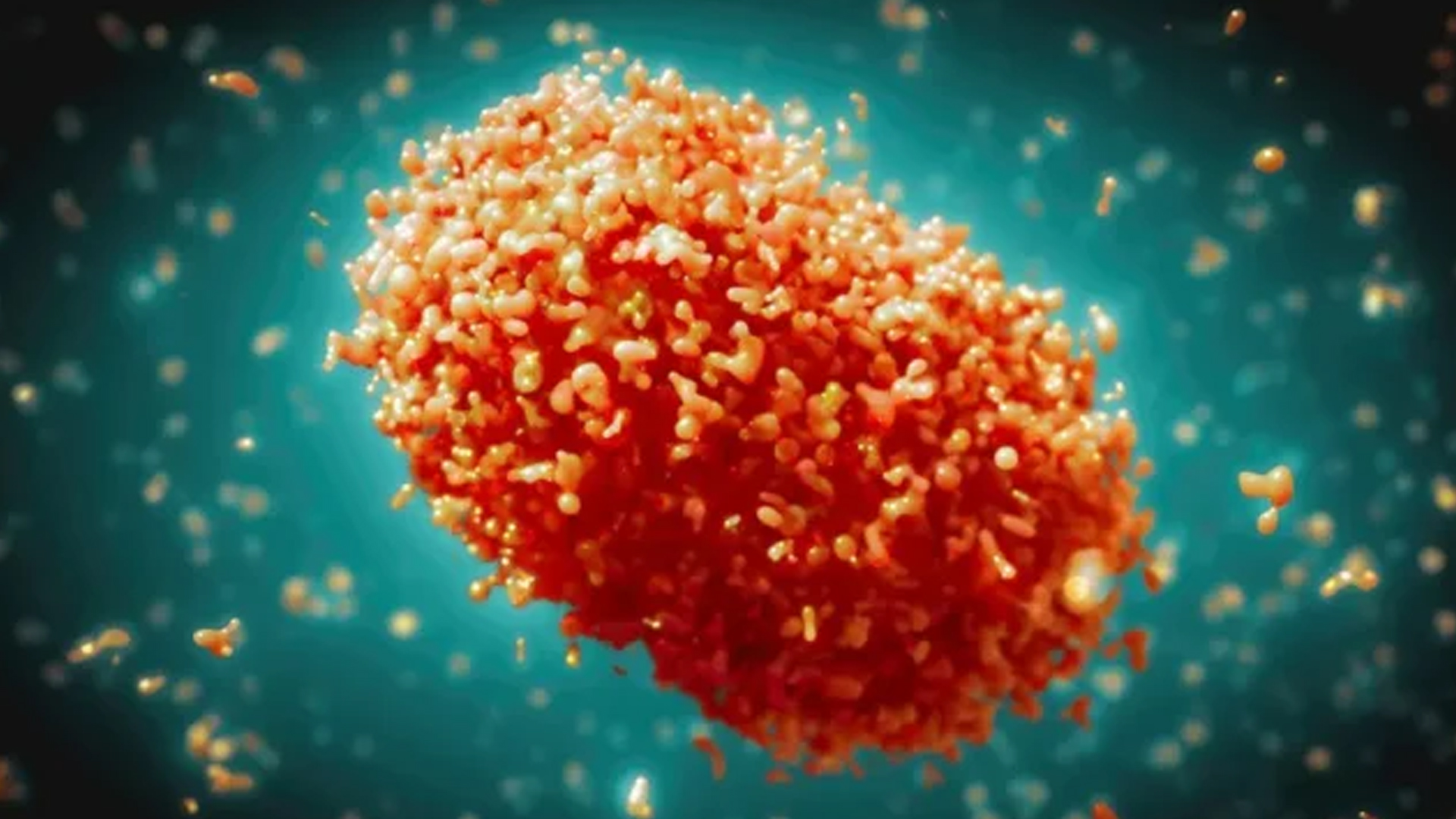 দেশে দেশে ছড়িয়ে পড়ছে এমপক্স ভাইরাস