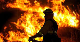 জয়পুরহাটে বীজের গোডাউনে আগুন