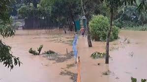 বন্যায় দুই জেলায় ১০ জনের মৃত্যু, ক্ষতিগ্রস্ত প্রায় আড়াই লাখ