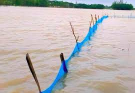 ঋণের বোঝায় দিশেহারা বন্যায় নিঃস্ব মাছ চাষিরা