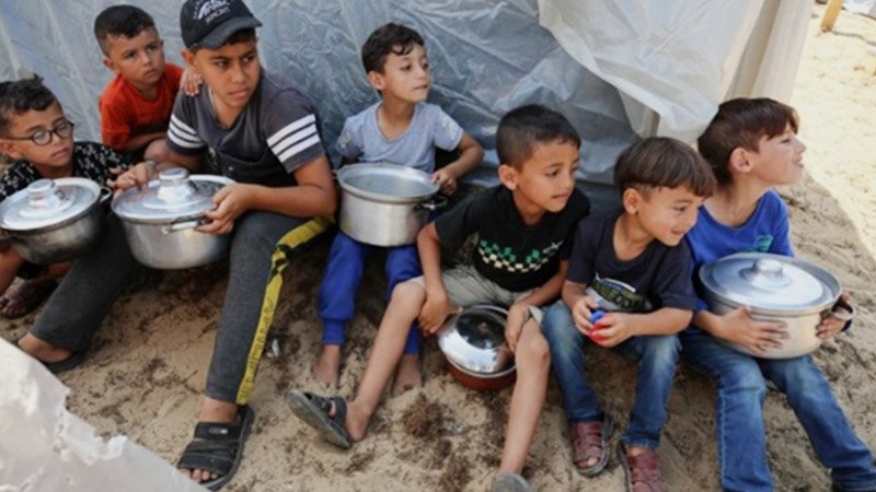 গাজার অর্ধেক জনসংখ্যা অনাহারে: জাতিসংঘ