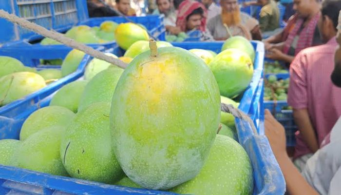 বাজারে এসেছে গোপালভোগ আম, দাম বেশি