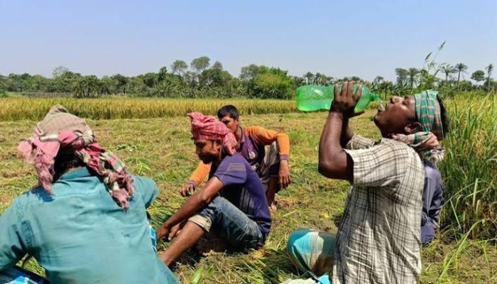 দেশের সর্বোচ্চ তাপমাত্রা চুয়াডাঙ্গায় ৪২ দশমিক ৭ ডিগ্রি
