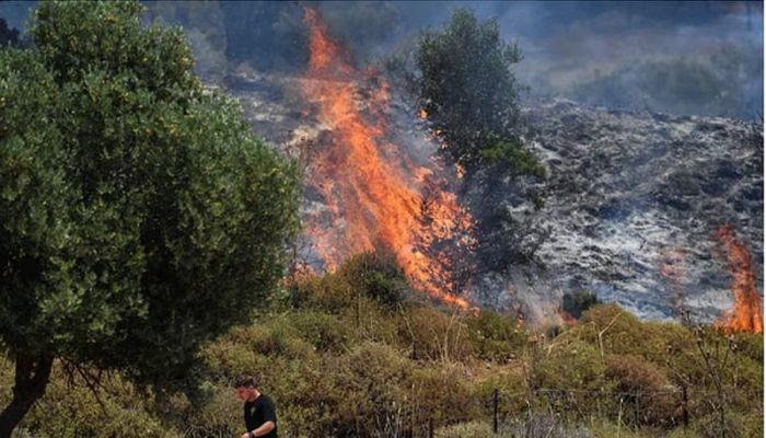 ইসরায়েলে ব্যাপক রকেট হামলা হিজবুল্লাহর