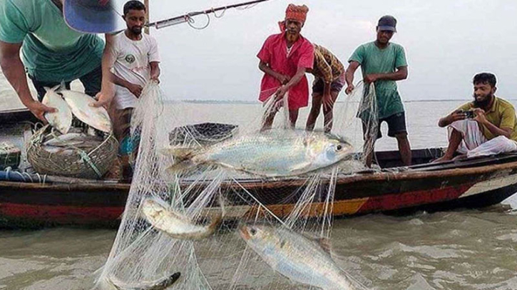 ইলিশ ধরার নিষেধাজ্ঞা শেষে হচ্ছে আজ থেকে