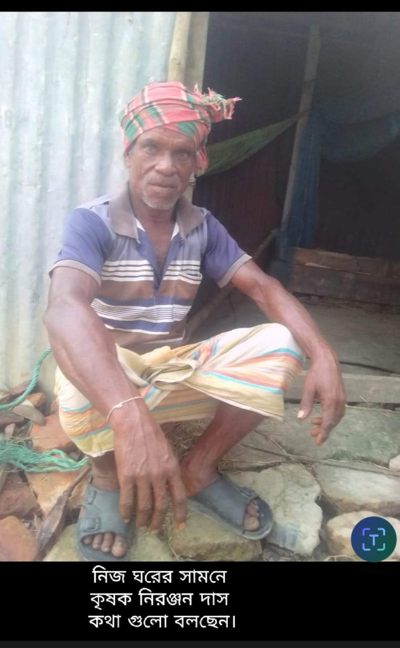 ‘পচা ধান কাডাইয়া কি করমু, পানির তলে পইরা থাকুক’