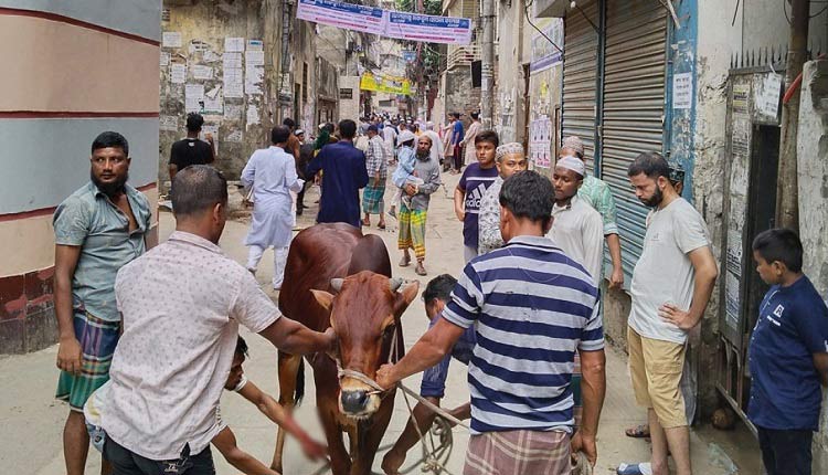 ঈদের দ্বিতীয় দিনে চলছে পশু কোরবানি
