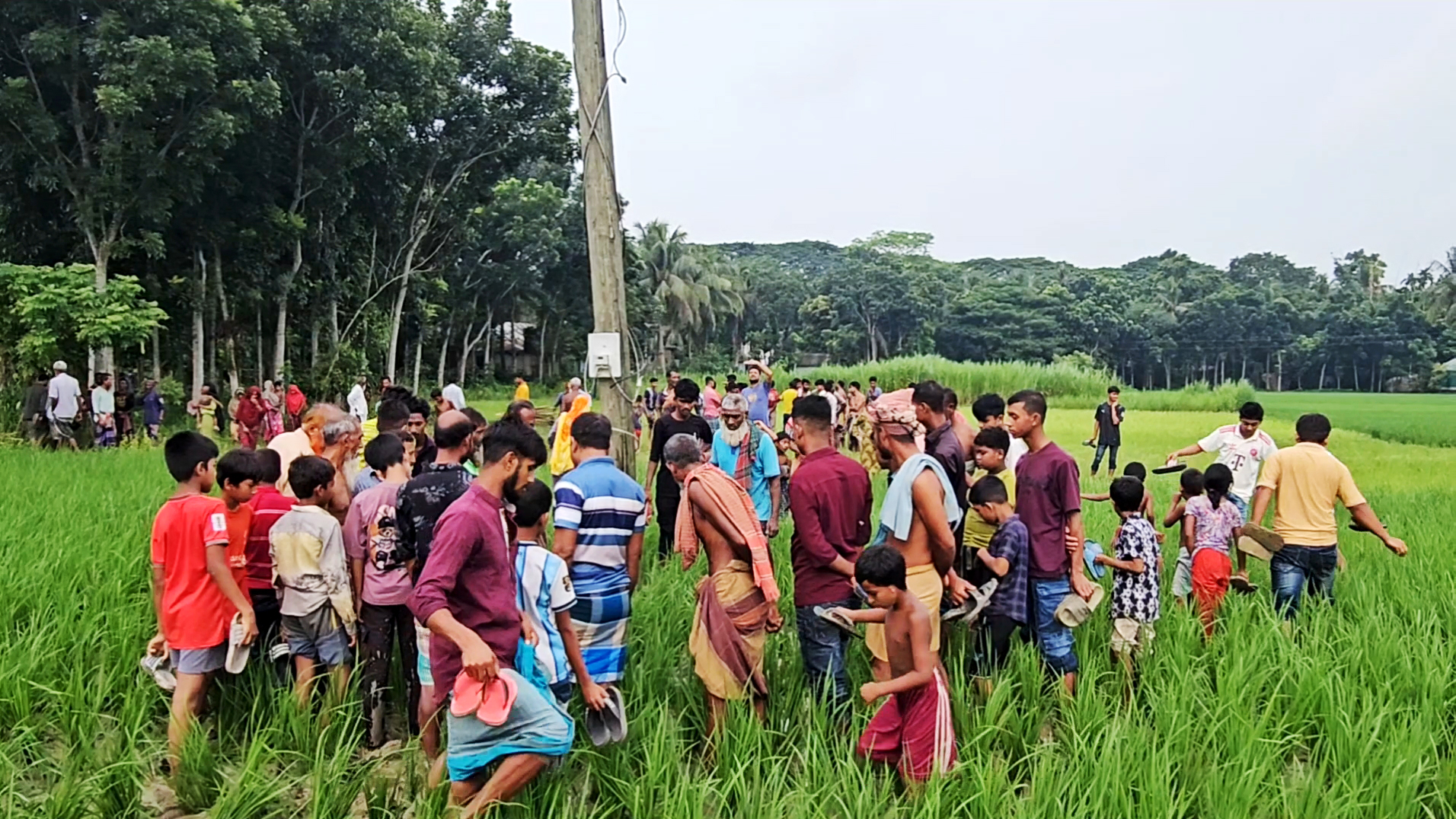 ট্রান্সফরমার চুরি করতে গিয়ে বিদ্যুৎস্পৃষ্ট, ধানখেতে মিলল মরদেহ