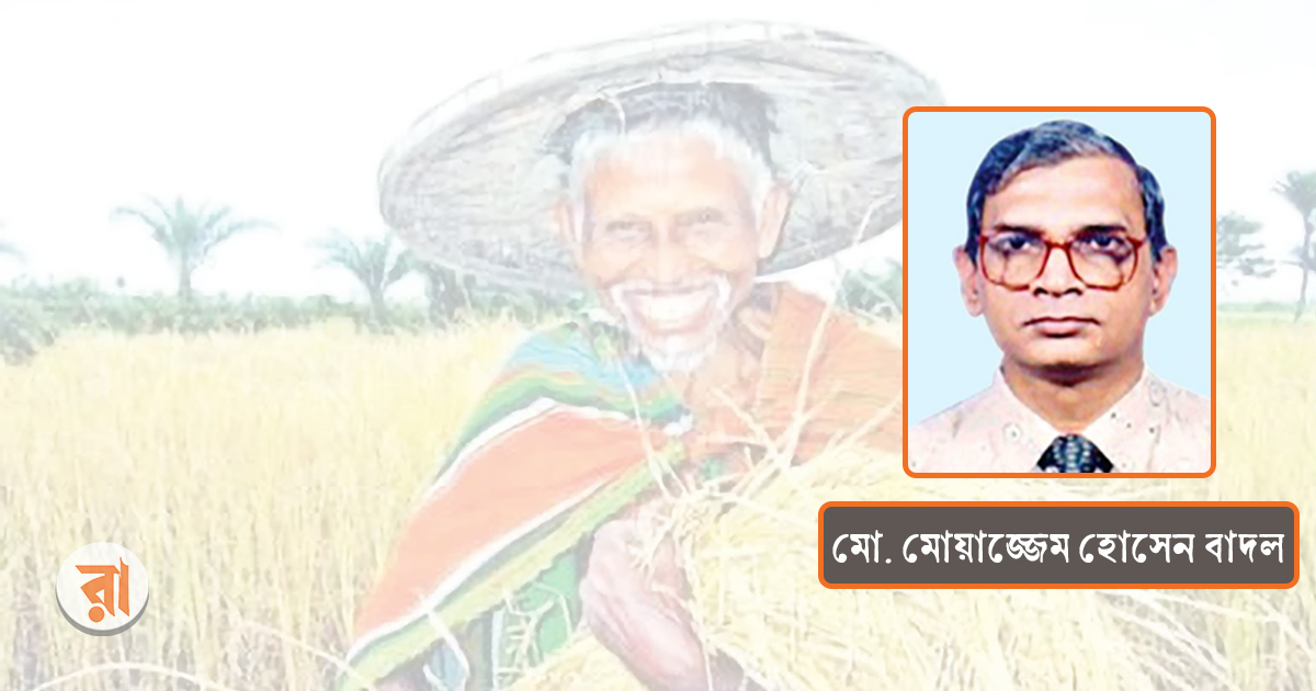 হরিপদ কাপালীর আবিষ্কৃত হরি ধানকে বাঁচাতে হবে
