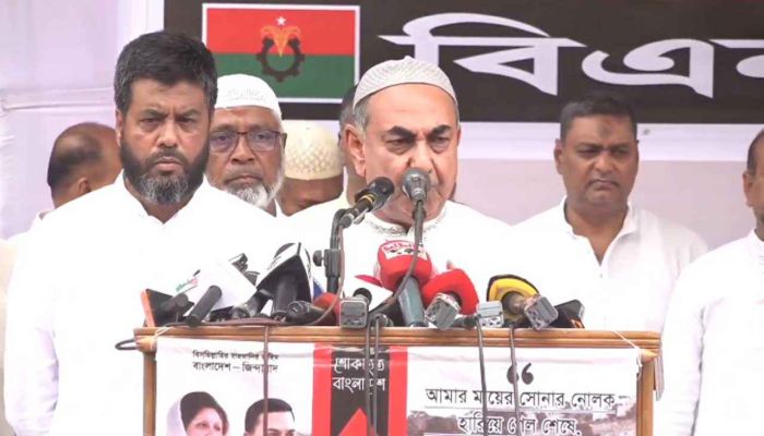 বিএনপির হাতেই দেশ ও স্বাধীনতা নিরাপদ: মির্জা আব্বাস