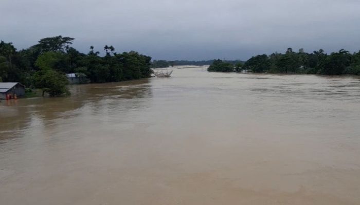 নেত্রকোণায় ফের বাড়ছে নদ-নদীর পানি