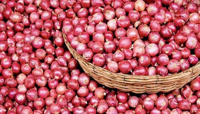 পেঁয়াজ রপ্তানিতে নিষেধাজ্ঞা তুলল ভারত