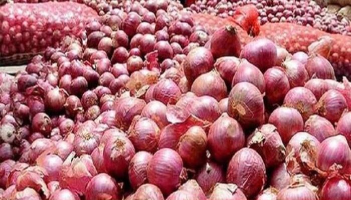 হিলি স্থলবন্দর দিয়ে ৫ মাস পর এল ভারতীয় পেঁয়াজ