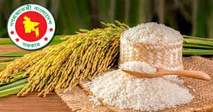 আমন মৌসুমে ১০ লাখ টন ধান-চাল সংগ্রহ করবে সরকার