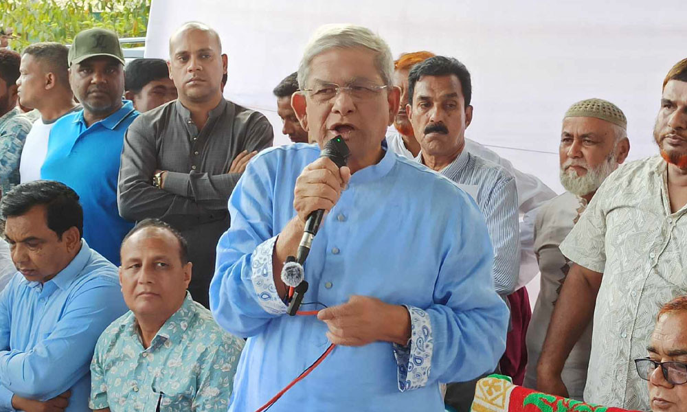 ভারতে বসে হাসিনা গুঁতোগুঁতি করছেন : ফখরুল